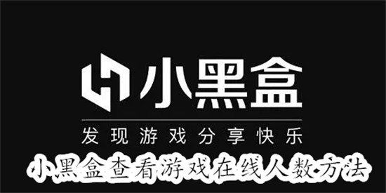 小黑盒怎么查看steam游戏的在线人数 小黑盒查看steam游戏的在线人数教程