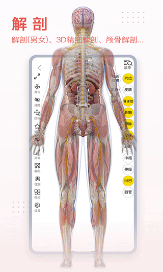 3dbody解剖安卓版 v8.7.10 - 手机应用介绍
