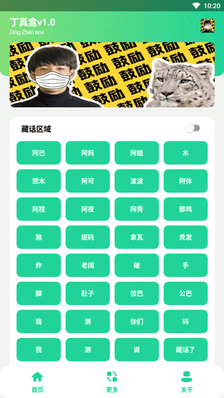 丁真盒最新版 v1.0安卓版 - 手机应用介绍