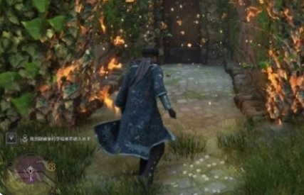 霍格沃茨之遗草药学暗廊攻略-草药学暗廊怎么去