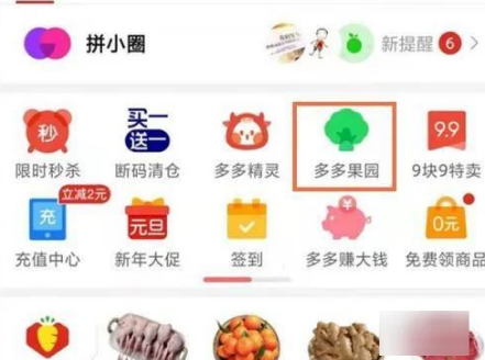 多多果园怎么领券 多多果园领券方法介绍