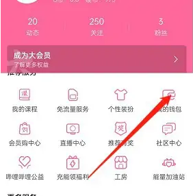 bilibili怎么办银行卡 哔哩哔哩联名卡申请办理教程