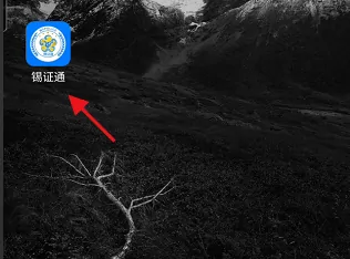 锡证通如何解绑手机号 锡证通APP修改手机号方法介绍