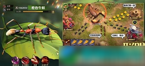 小小蚁国如何宰杀野怪  小小蚁国宰杀野怪方法介绍