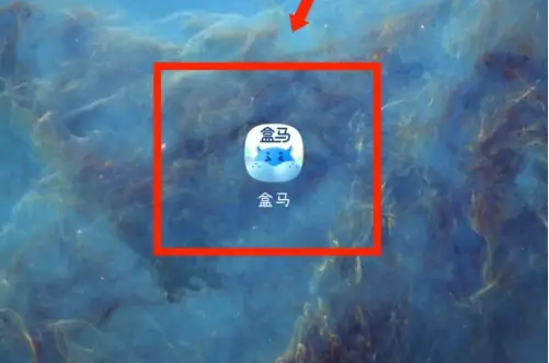 盒马app如何设置使用企业权益代码 盒马绑定企业账号教程