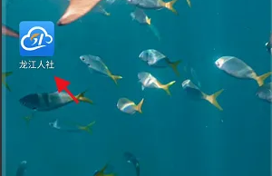 龙江人社如何查询认证记录 具体操作方法介绍