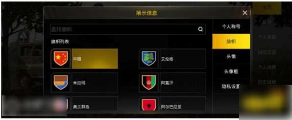 和平精英国际服如何改国家  和平精英国际服修改国家方法