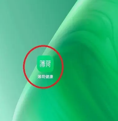 薄荷健康app怎么查看数据 薄荷健康查看统计数据方法介绍
