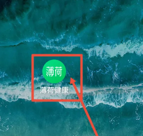 薄荷健康app怎么用计算热量千卡 荷健康计算三餐摄入的热量教程