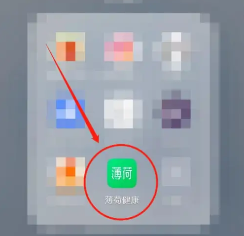 薄荷健康app如何查看每一餐摄入的热量 薄荷健康看食物热量步骤