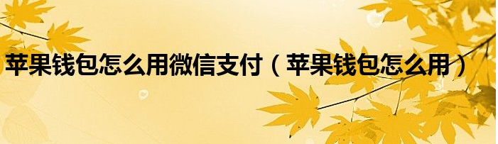 苹果钱包怎么用微信支付  苹果钱包使用教程一览