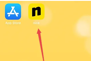 nice app怎么退货 nice强制退货的具体方法