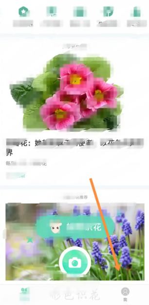 形色如何设置  形色开启个性化推荐一览