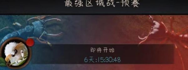 小小蚁国蚁王之战奖励有哪些 小小蚁国蚁王之战奖励介绍