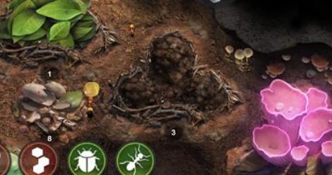 小小蚁国如何扩建领地 小小蚁国扩建领地方法