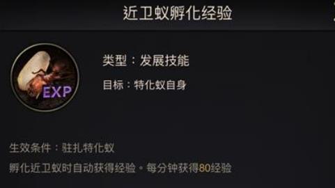 小小蚁国平头龟蚁怎么样 小小蚁国平头龟蚁分析介绍