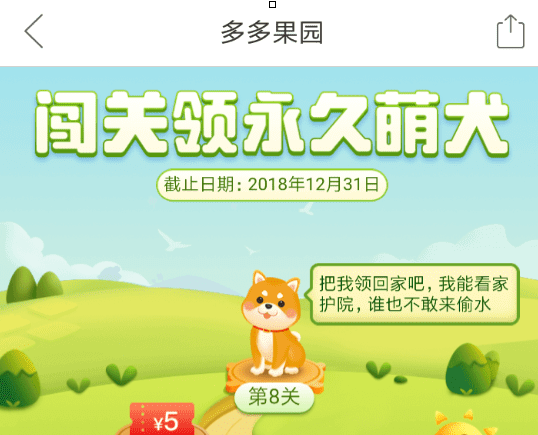 多多果园怎么领养护院犬 多多果园领养护院犬教程