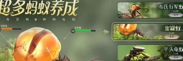 小小蚁国蚂蚁王是谁 小小蚁国蚂蚁王介绍