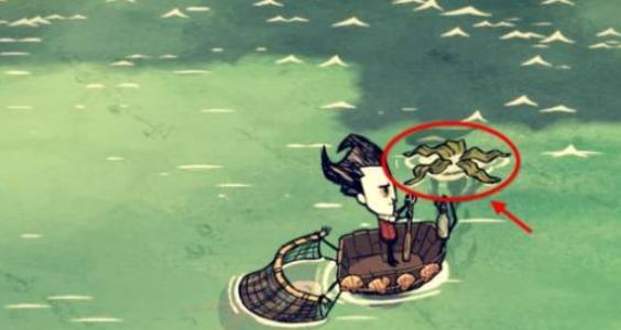 饥荒海难如何移植海带 饥荒海难移植海带攻略