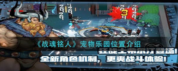 战魂铭人宠物乐园位置介绍 具体一览