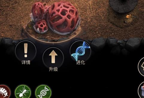 小小蚁国怎么进化 小小蚁国进化攻略