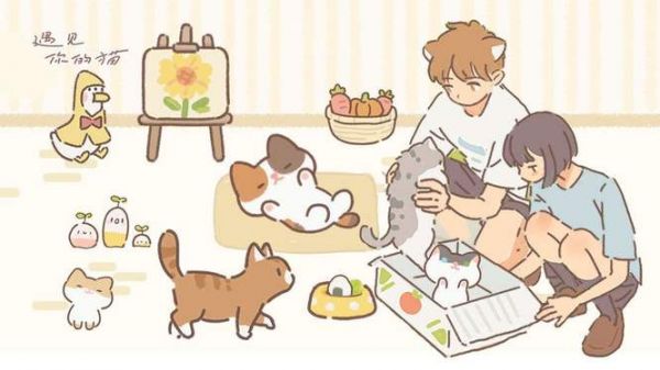 遇见我的猫怎么获得种子 遇见你的猫种菜攻略