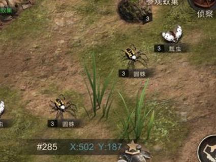 小小蚁国战斗规则有哪些 小小蚁国战斗规则介绍