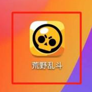 荒野乱斗如何观战 荒野乱斗观战的操作方法