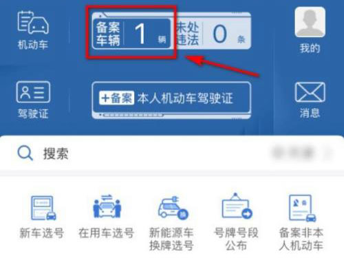 12123电子免检标志怎么看
