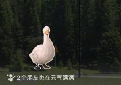 微信农场怎么弄