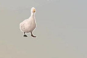 微信农场背景图怎么设置