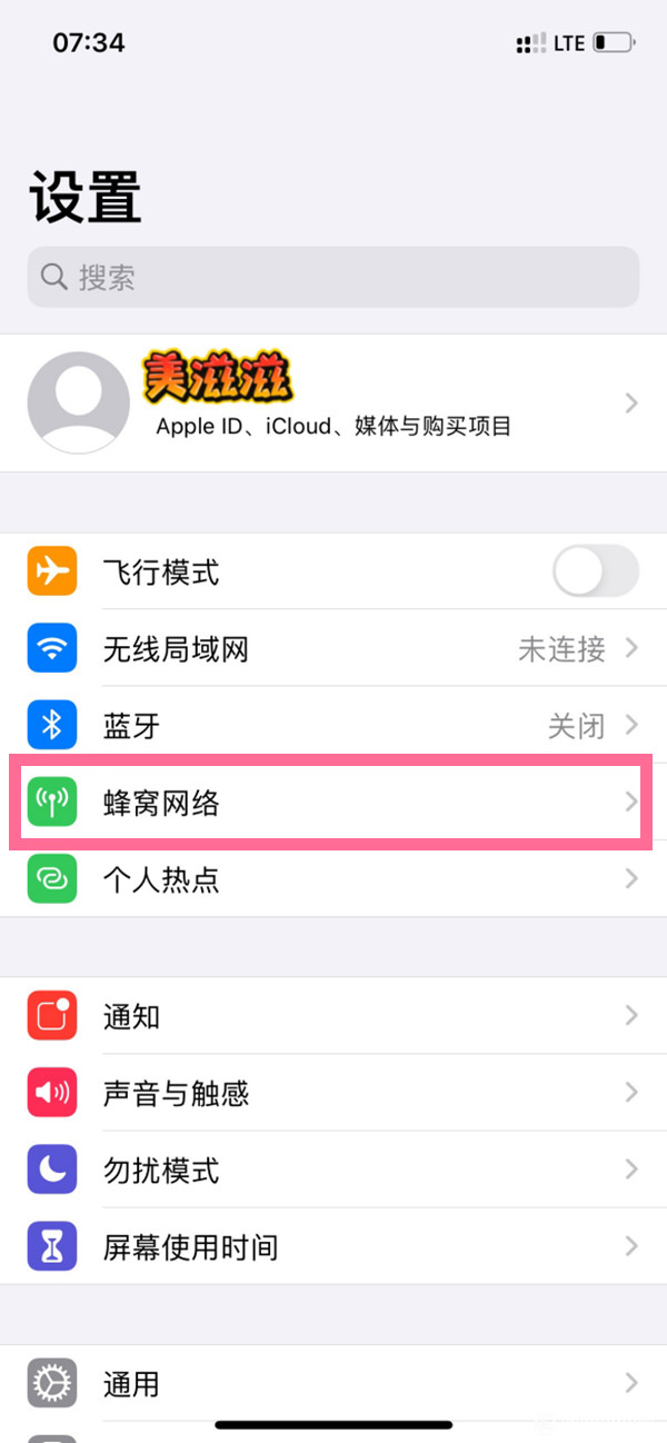 苹果手机物联卡lte热点怎么开