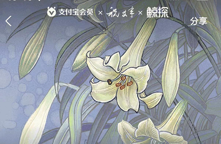 支付宝祝大年四时花镜皮肤怎么获得