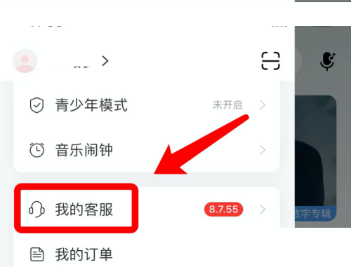 网易云音乐怎么实名认证