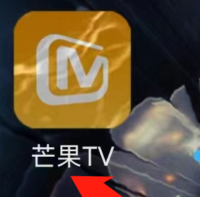 芒果TV芒果公益怎么看