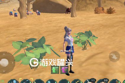 创造与魔法土豆在哪里 土豆去哪获得最快